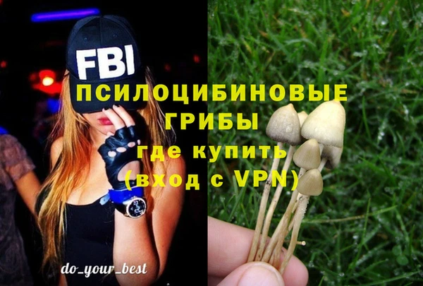 бошки Заводоуковск