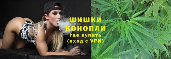 бошки Заводоуковск