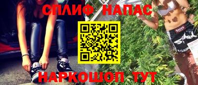 молекула духа Донецк