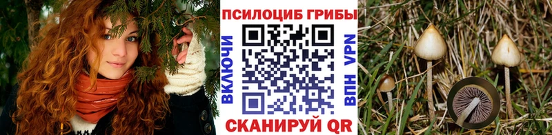Галлюциногенные грибы прущие грибы  дарк нет клад  Зерноград 