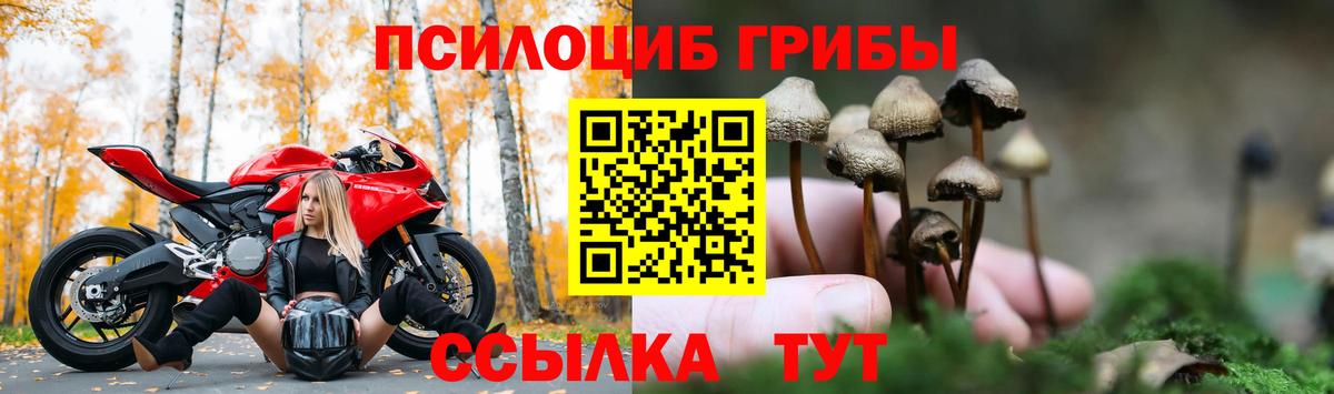 Зерноград  где продают   Псилоцибиновые грибы мицелий  Вход с VPN  Галлюциногенные грибы Psilocybine cubensis 